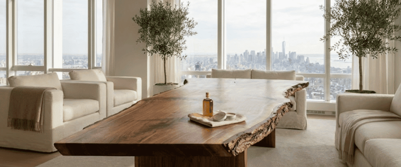 Spacious sunlit living room with a live-edge wooden table, neutral sofas, potted olive trees, and a city skyline view