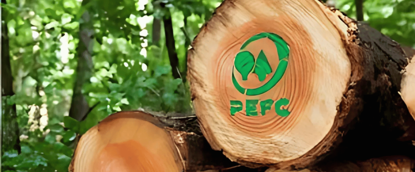 Sustainable Forestry: What It Is, How It Works, and Why It Matters image