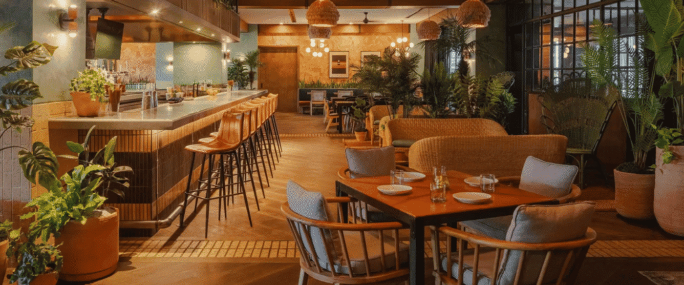 Modern restaurant interior with warm lighting, wooden furniture, indoor plants, and cozy bar seating creating a stylish ambiance