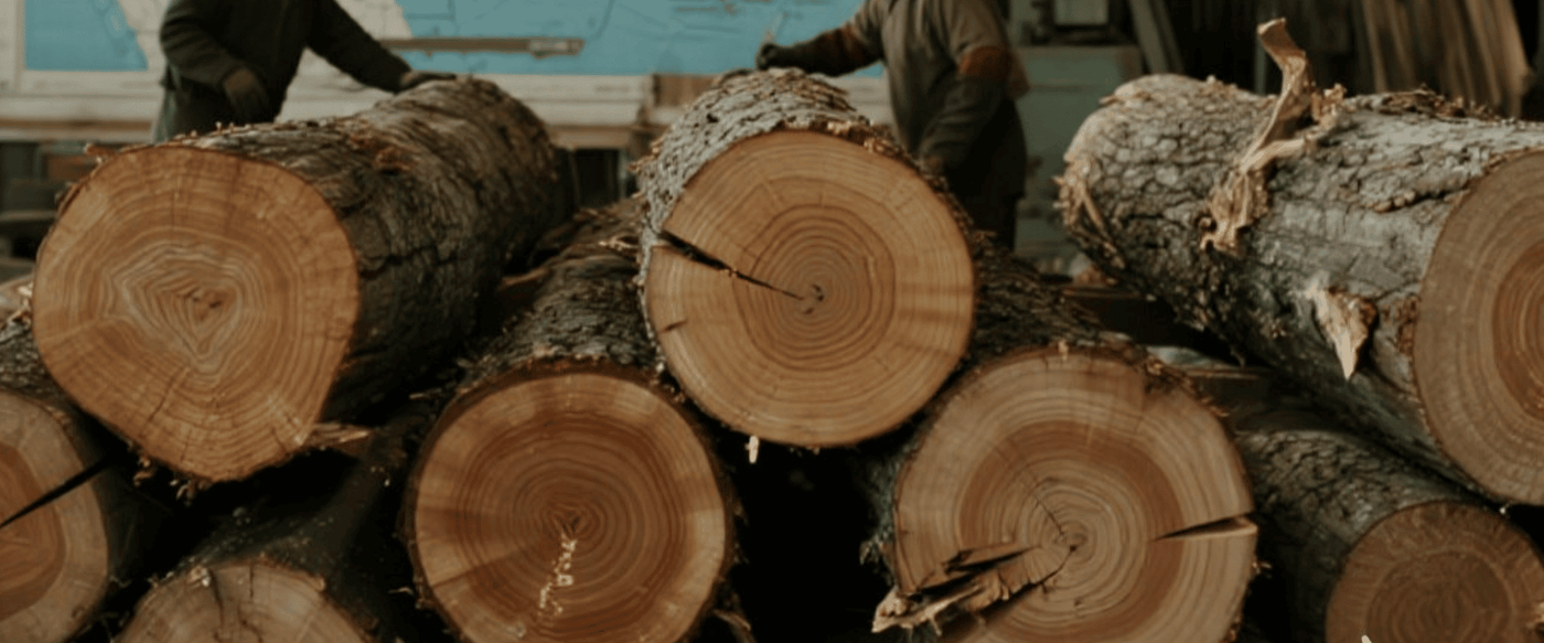 Tariff Impact on US Wood Imports: Sourcing Strategies for 2025 image