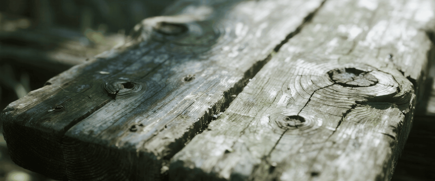 The Impact of Climate Change on Wood Quality image