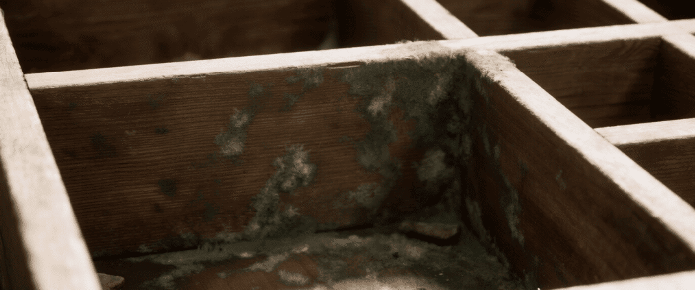 wooden drawer interior with visible mold and mildew spots, slight discoloration and musty texture, humid environment