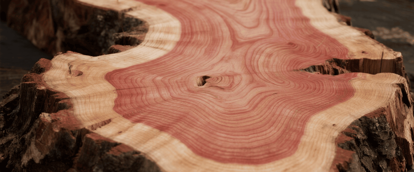 Choosing Oak for Your Live Edge Table image