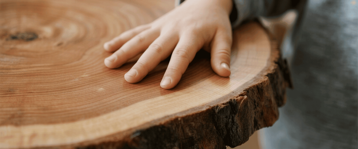 Kids and Live Edge: Safety, Design, and Reality image