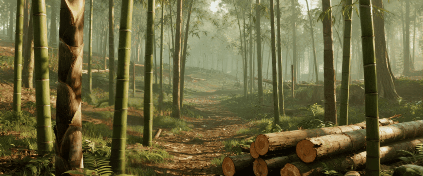 bamboo plantation and a rubberwood forest, with young, fast-growing trees in neat rows.