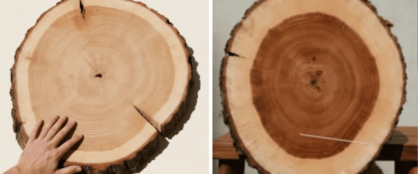 Difference Between Heartwood and Sapwood in Live-Edge Furniture? image