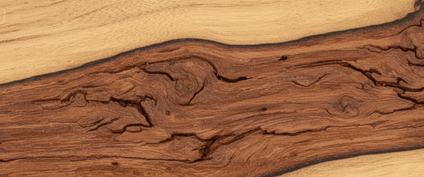 Wide close-up of rich brown wood grain with swirling knots and contrasting light sapwood