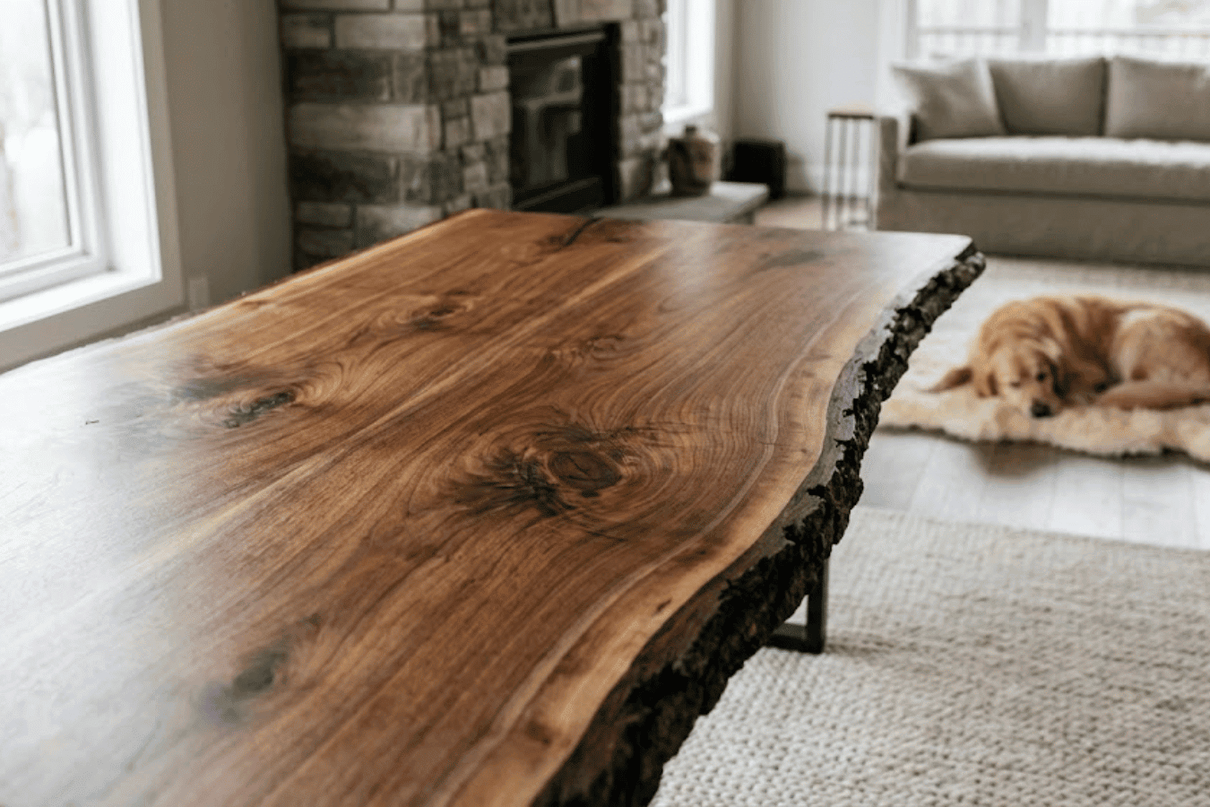Live-edge wooden dining table in a bright living room with a golden retriever curled on a rug near a sofa and fireplace