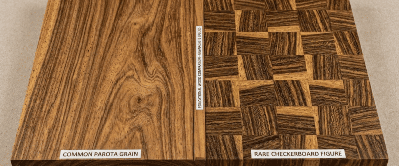 Common parota wood sample with smooth grain on left and rare checkerboard figured parota blocks on right, labeled display
