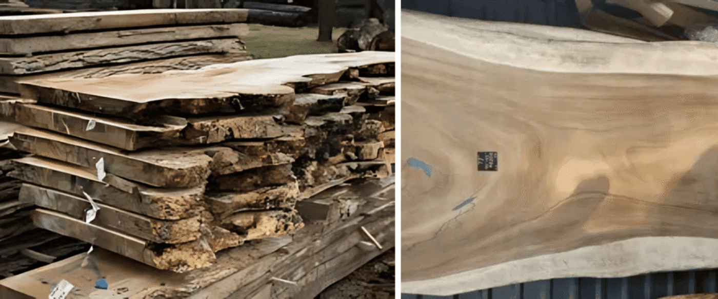 Live-edge slab with natural sapwood borders and small resin-filled knots.