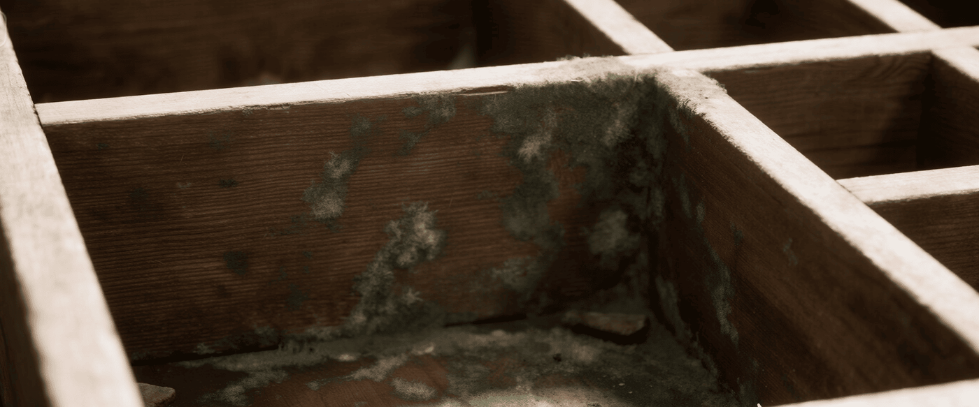 What Happens If You Use Under-Dried Wood for Live-Edge Tables? image