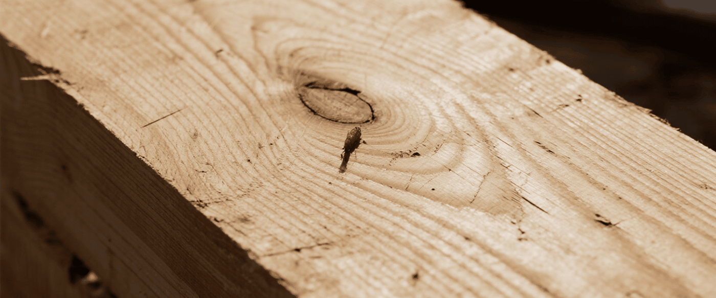 Wood Species Deep Dive: Cedar vs Pine for Texas Climate image