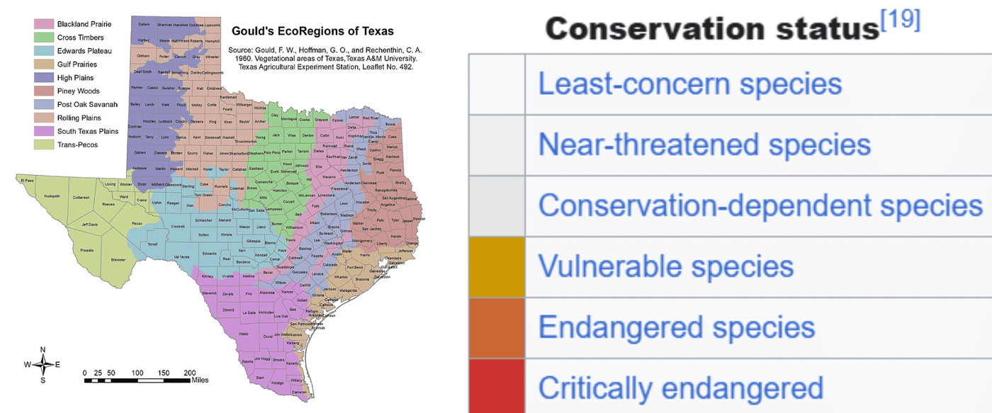 Native Texas Wood Species Encyclopedia image