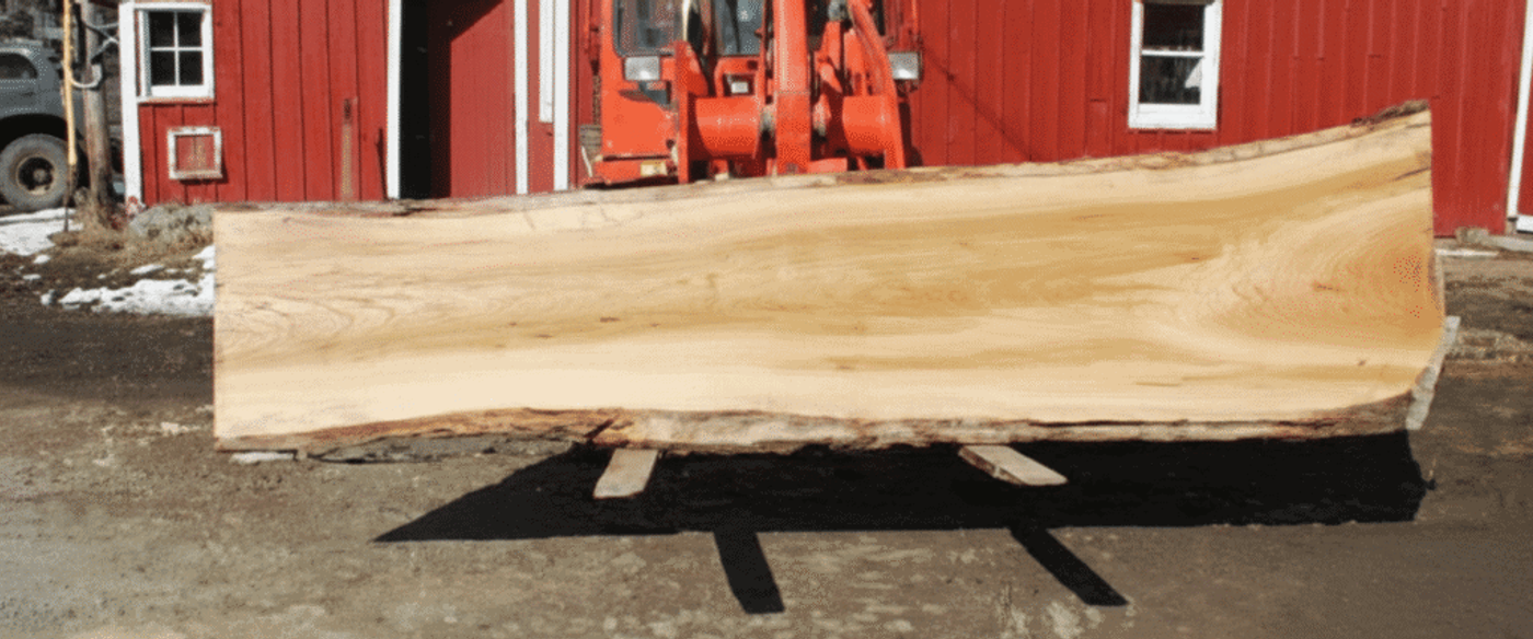 Long, oak live-edge wood slab propped outdoors in front of a red barn with a tractor, ready for milling or furniture use.
