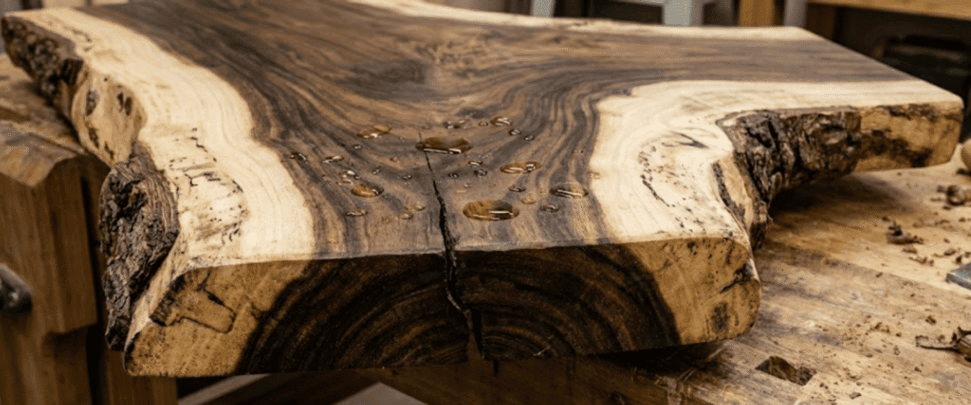 A sanded live-edge walnut slab with rich dark grain, natural bark edges and wood shavings on a workbench, droplets of finish on top