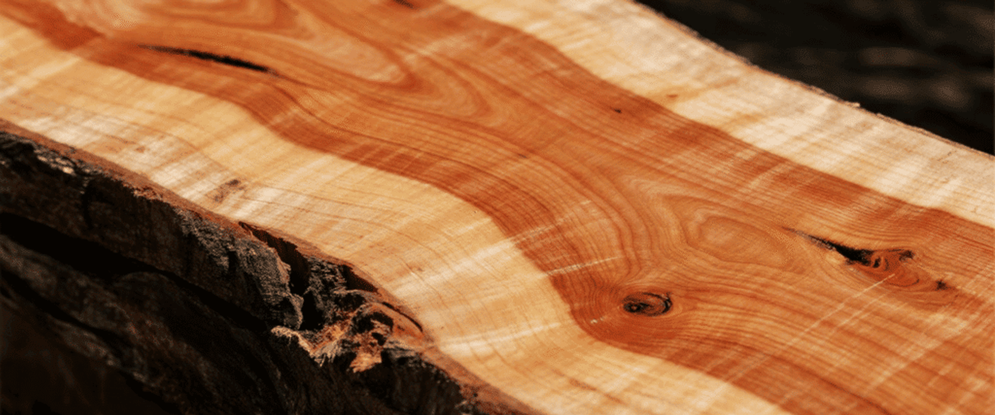 Knotty live-edge cedar slab with warm reddish grain and textured bark, close-up showing natural rings and smooth sanded surface.