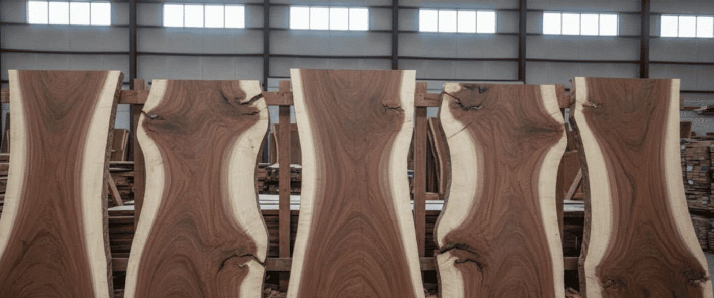 Five large live-edge walnut slabs with rich grain patterns standing upright in a bright woodshop