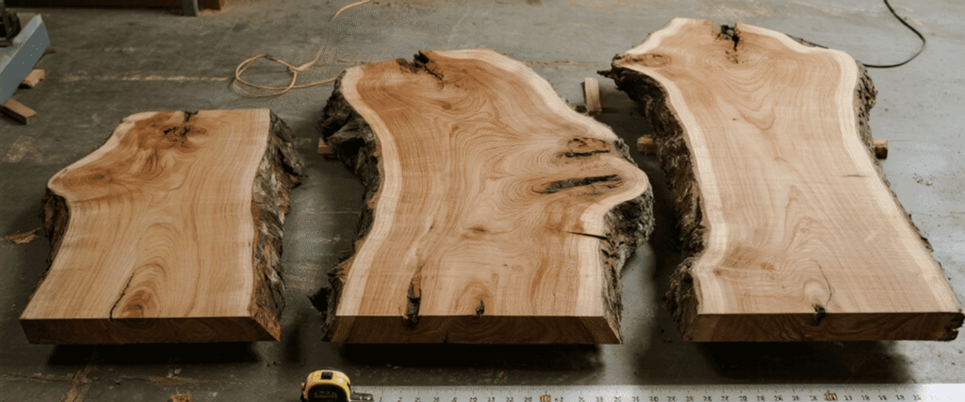 Three live-edge oak slabs with natural bark edges and visible grain patterns laid side-by-side on a workshop floor beside a tape measure.