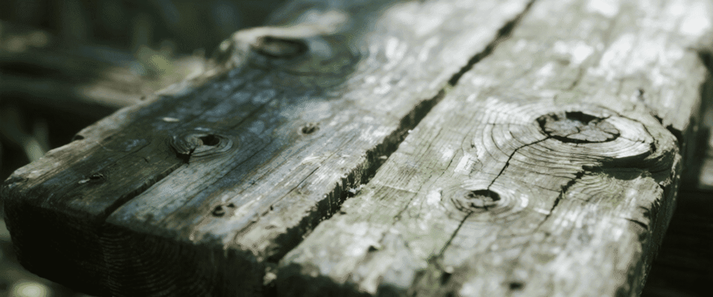 Weathered wooden bench planks with visible knots, cracks, and greenish moss in soft sunlight, shallow depth of field.