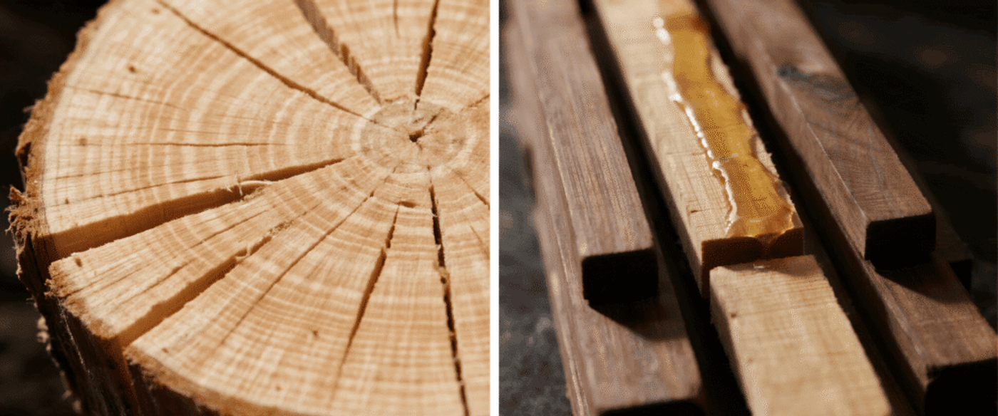 Close-up of a wooden log showing radial cracks and grain patterns, illustrating signs of poor wood drying and splitting.