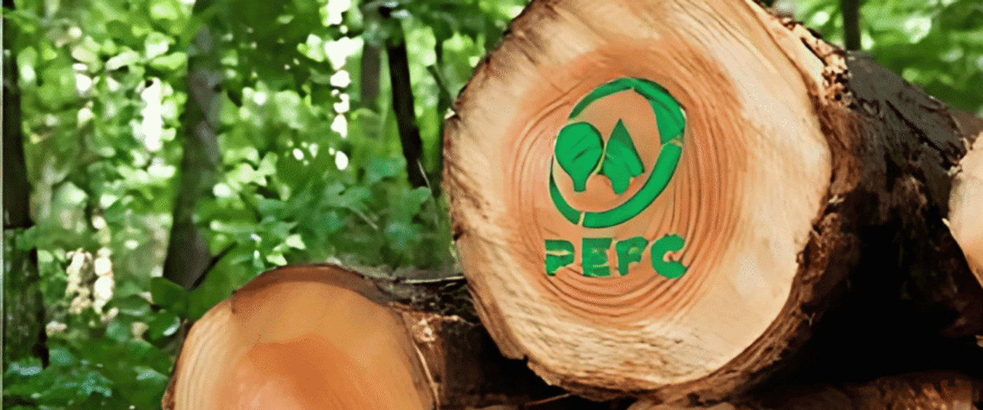 Stack of freshly cut logs in a green forest with a green PEFC certification logo stamped on the exposed wood ends.