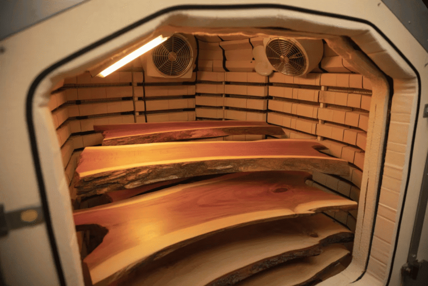 Wood kiln interior showing live edge slabs drying with warm lighting and ventilation fans.