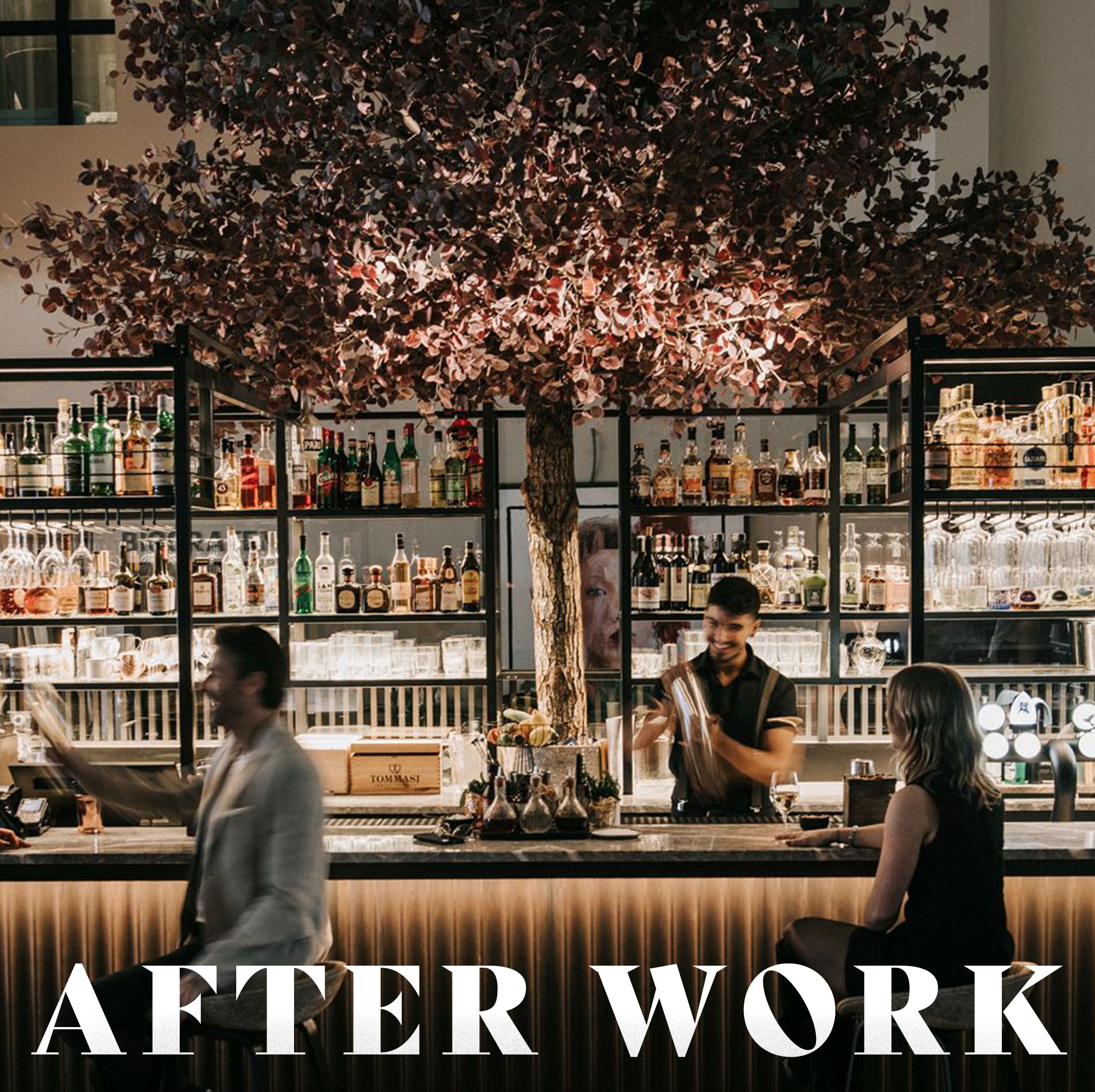 Pianobar och livesång