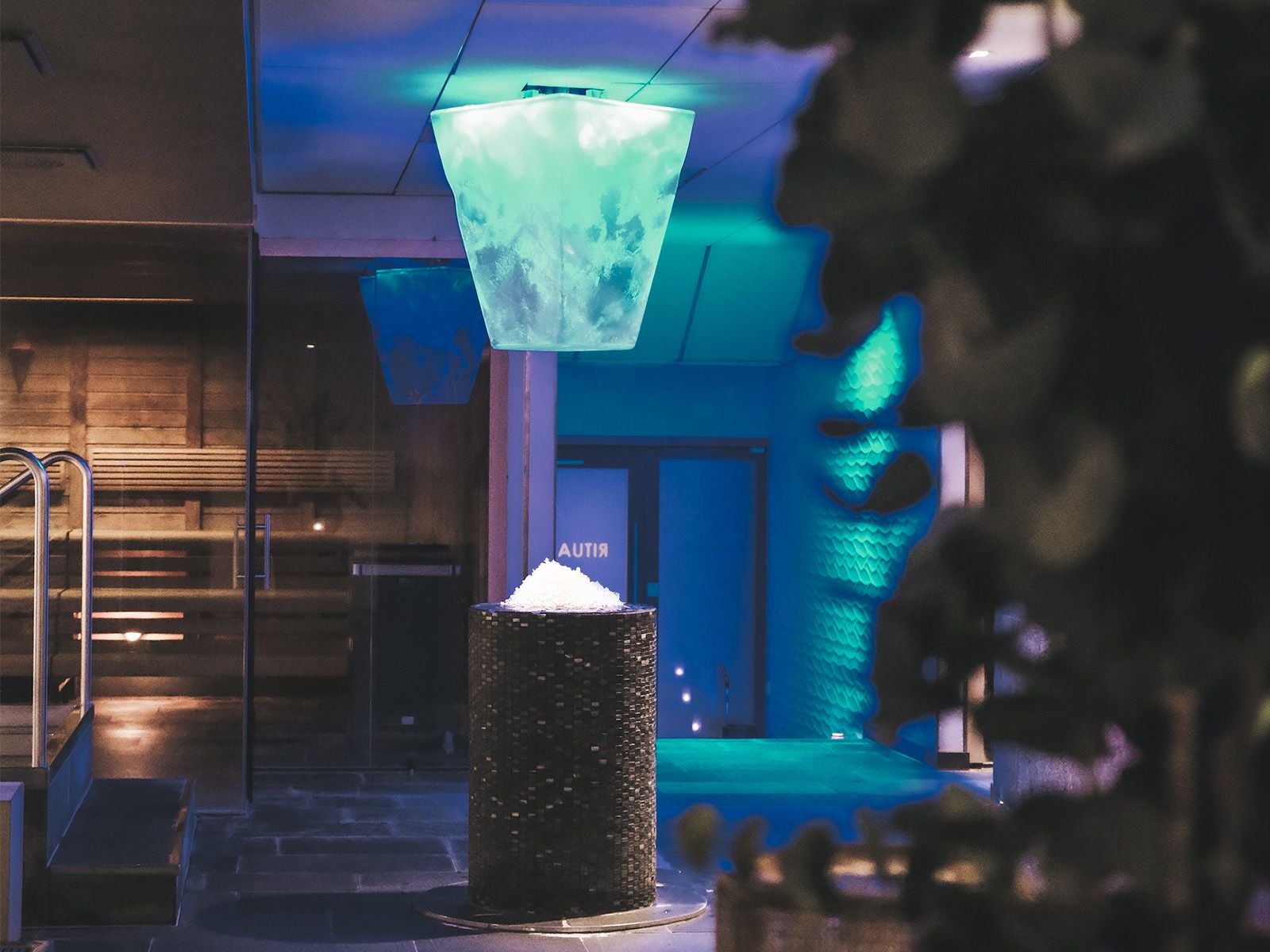 Trans anuslarning yaqindan olingan fotosuratlari