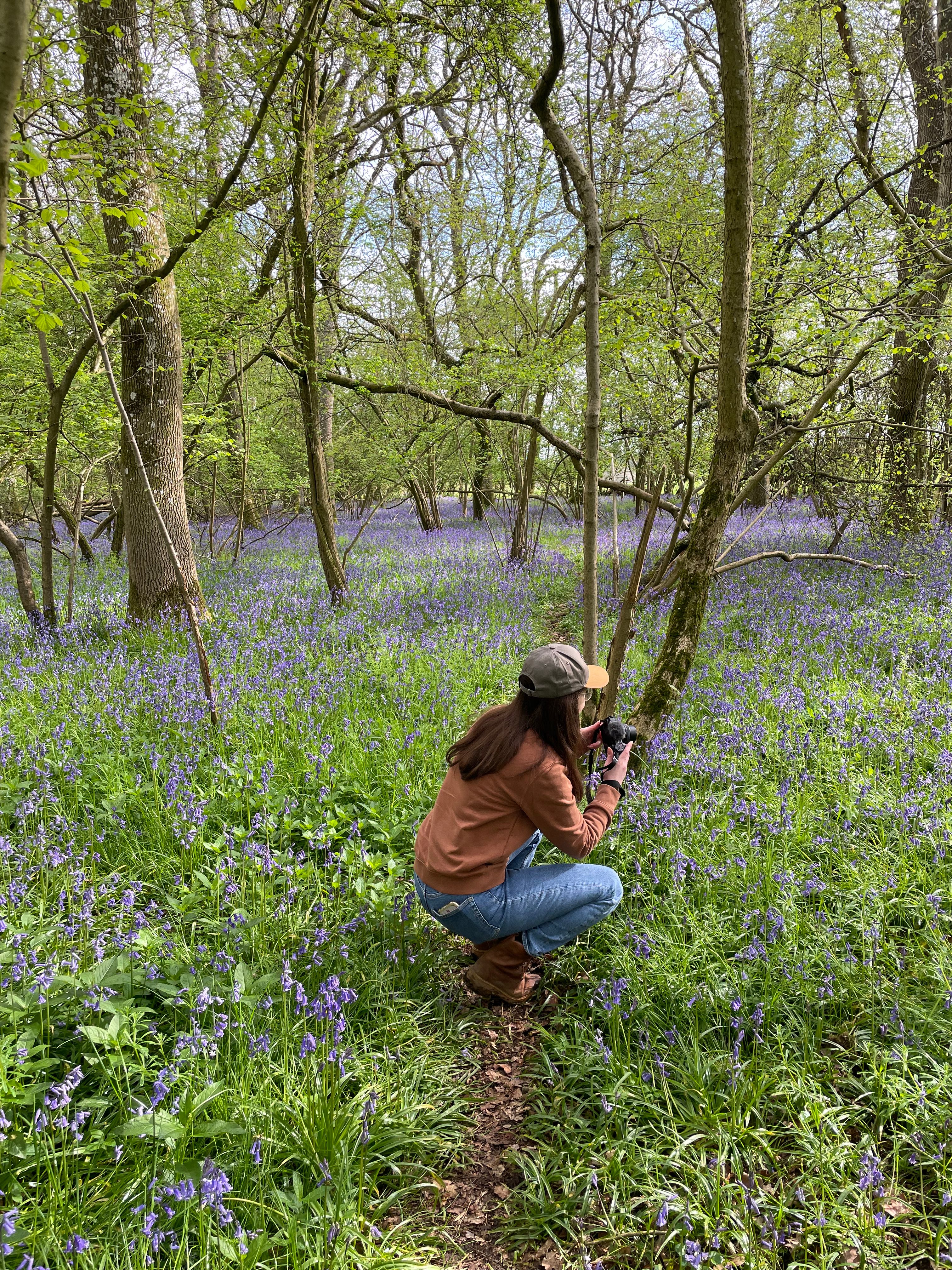 Woman photographing bluebells