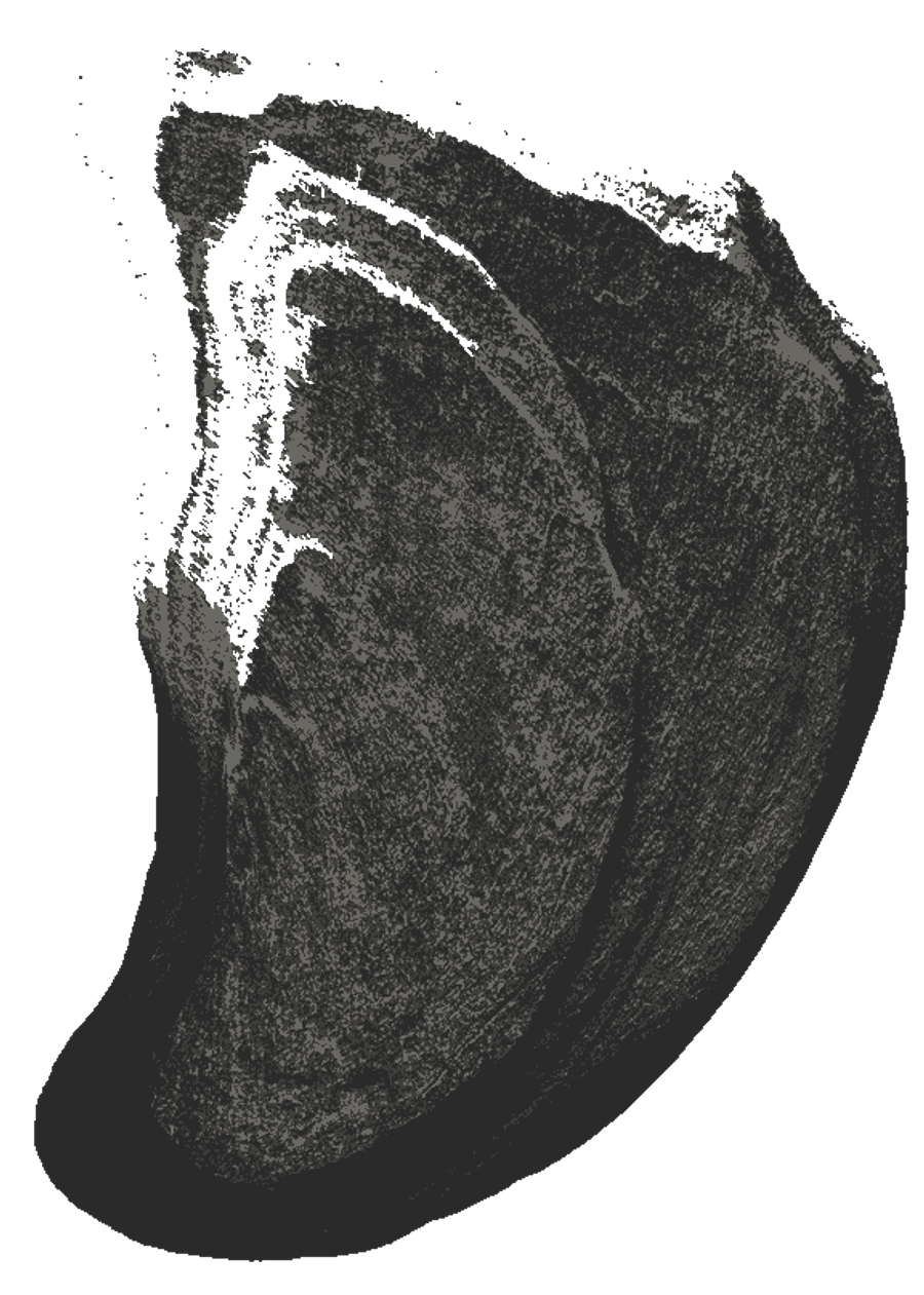 16-image