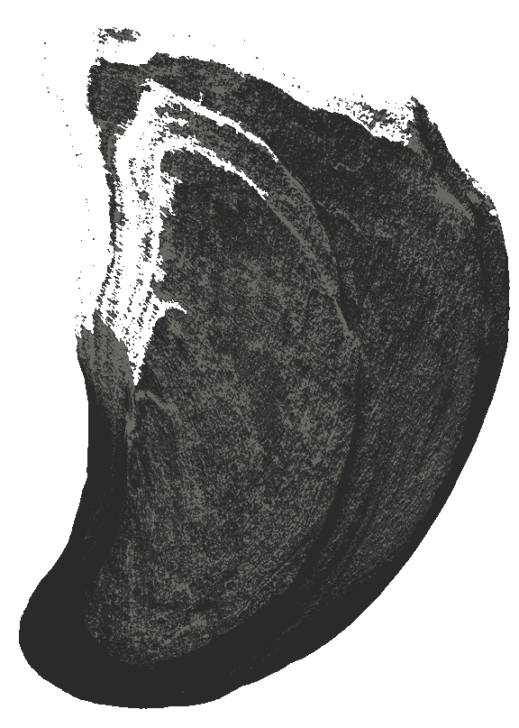 16-image