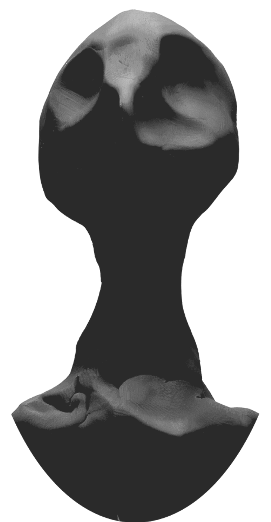 font-image