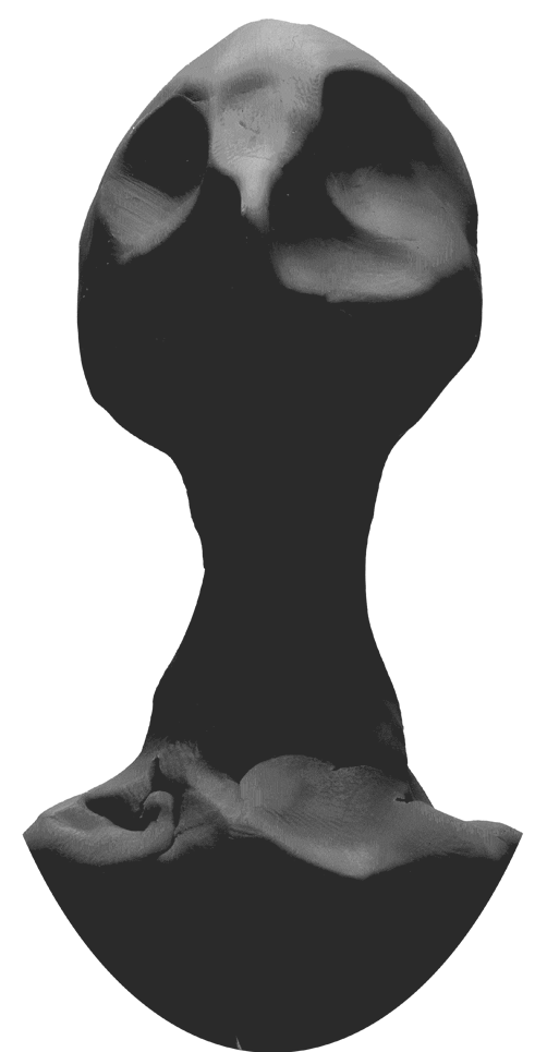 font-image