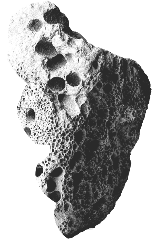 stride image