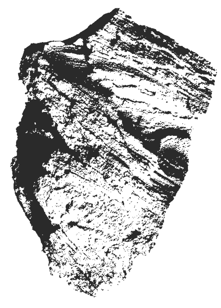 CaraB-image