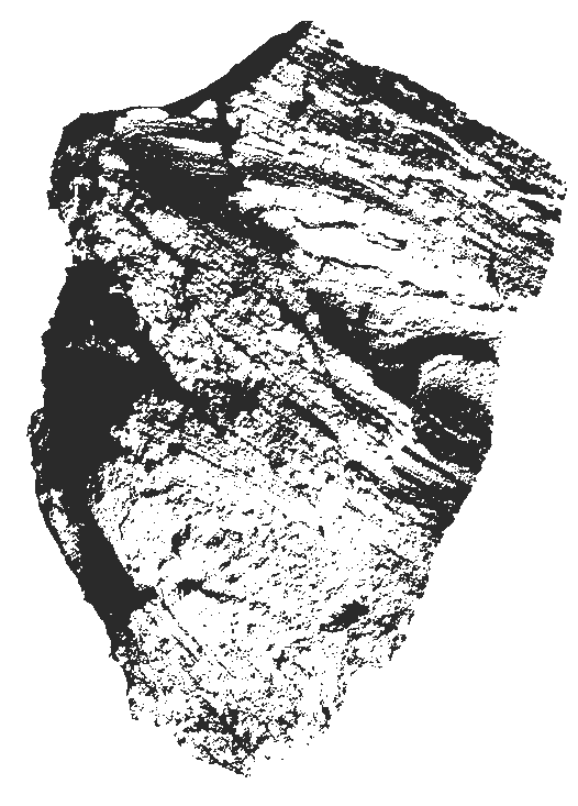 CaraB-image