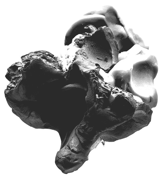 9-image