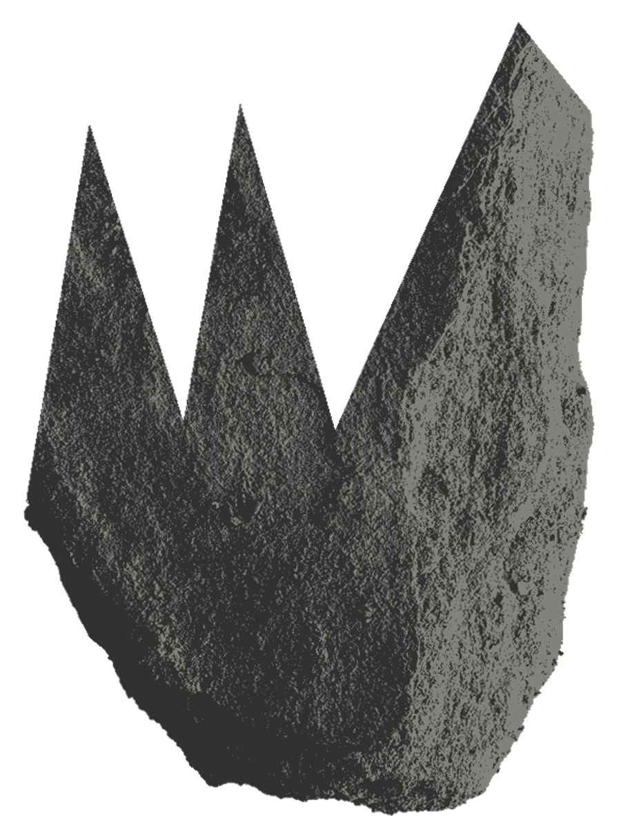 13-image