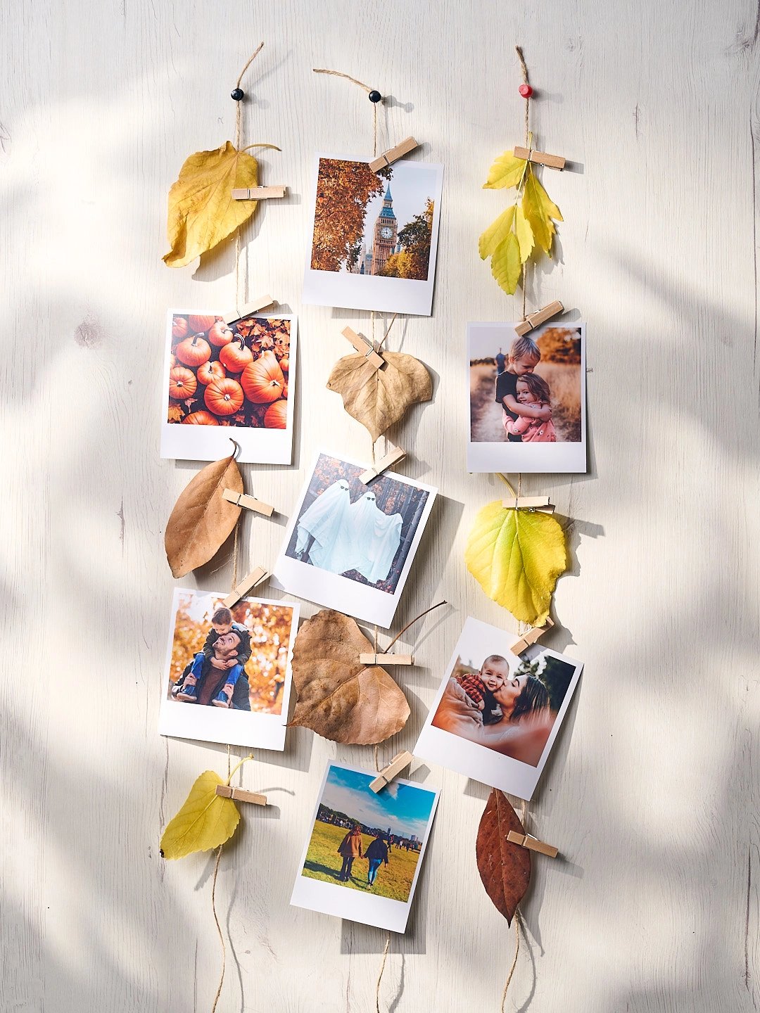 MyfuJifilm Octubre_noviembre 20251322