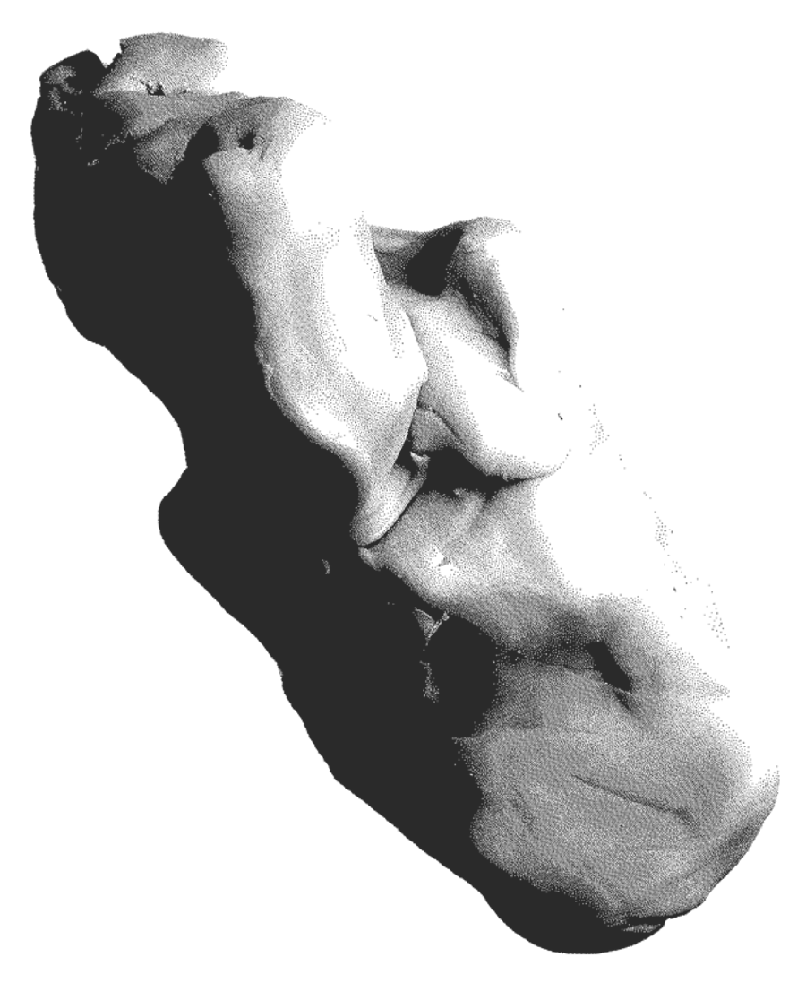 12-image