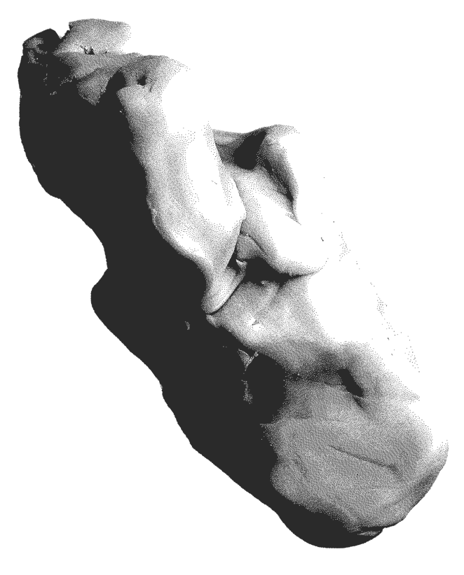 12-image