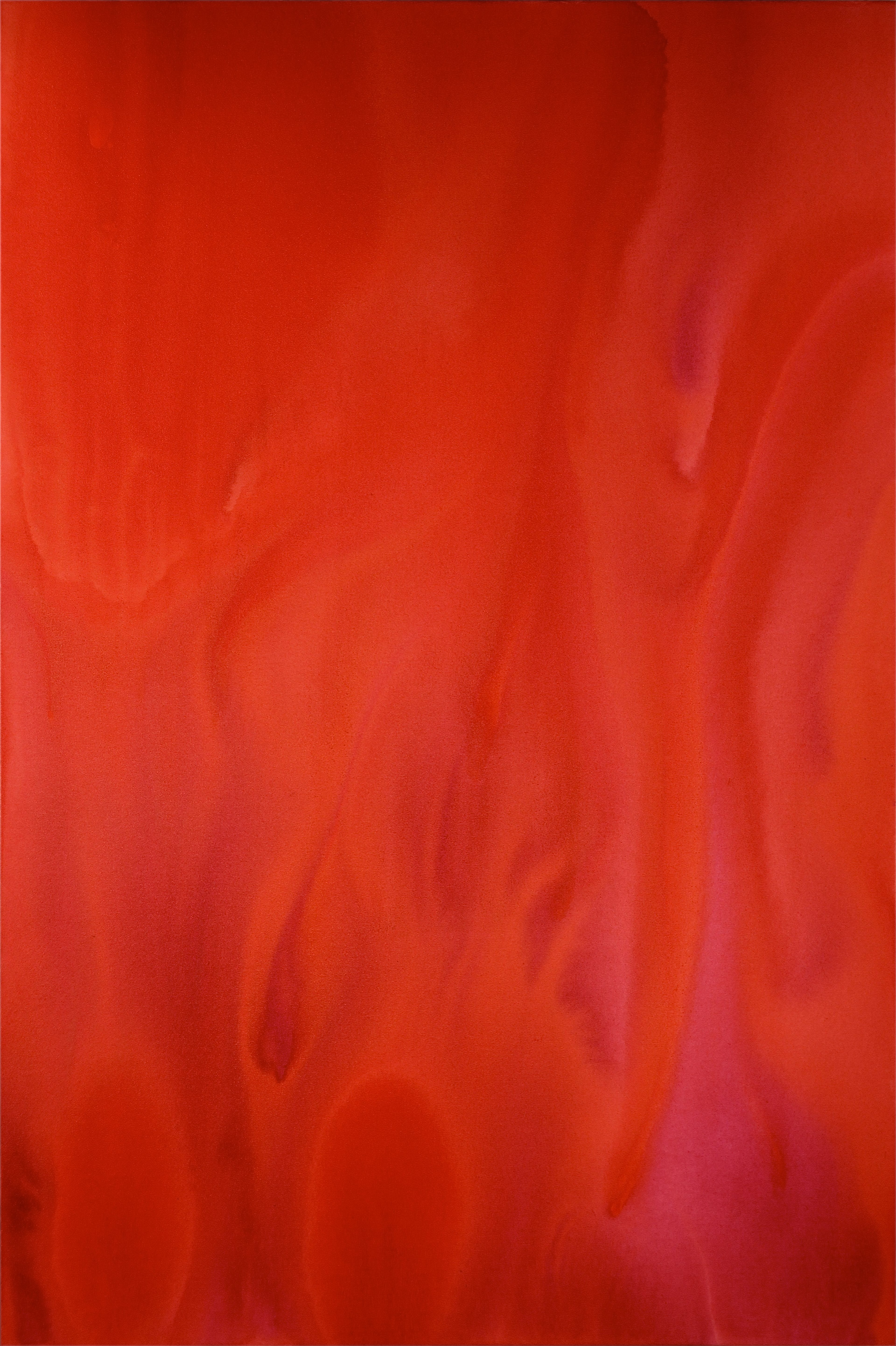 Brady Legler