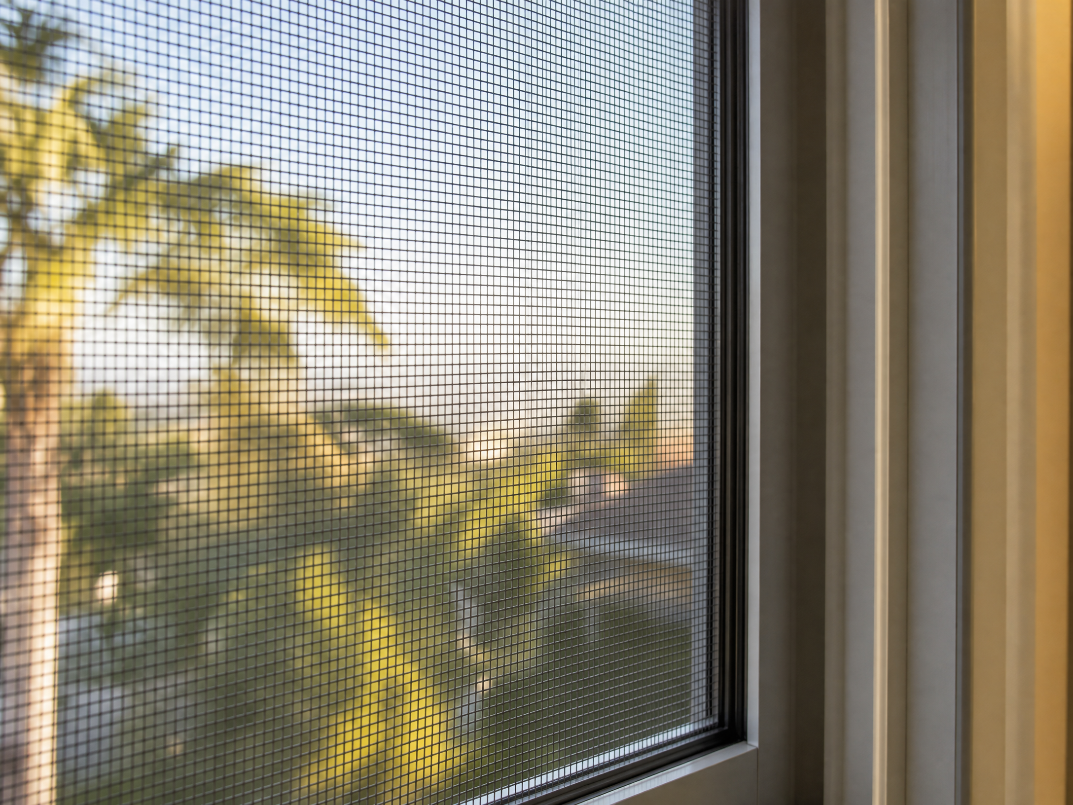 Do Mosquito Screens for Windows Really Work?