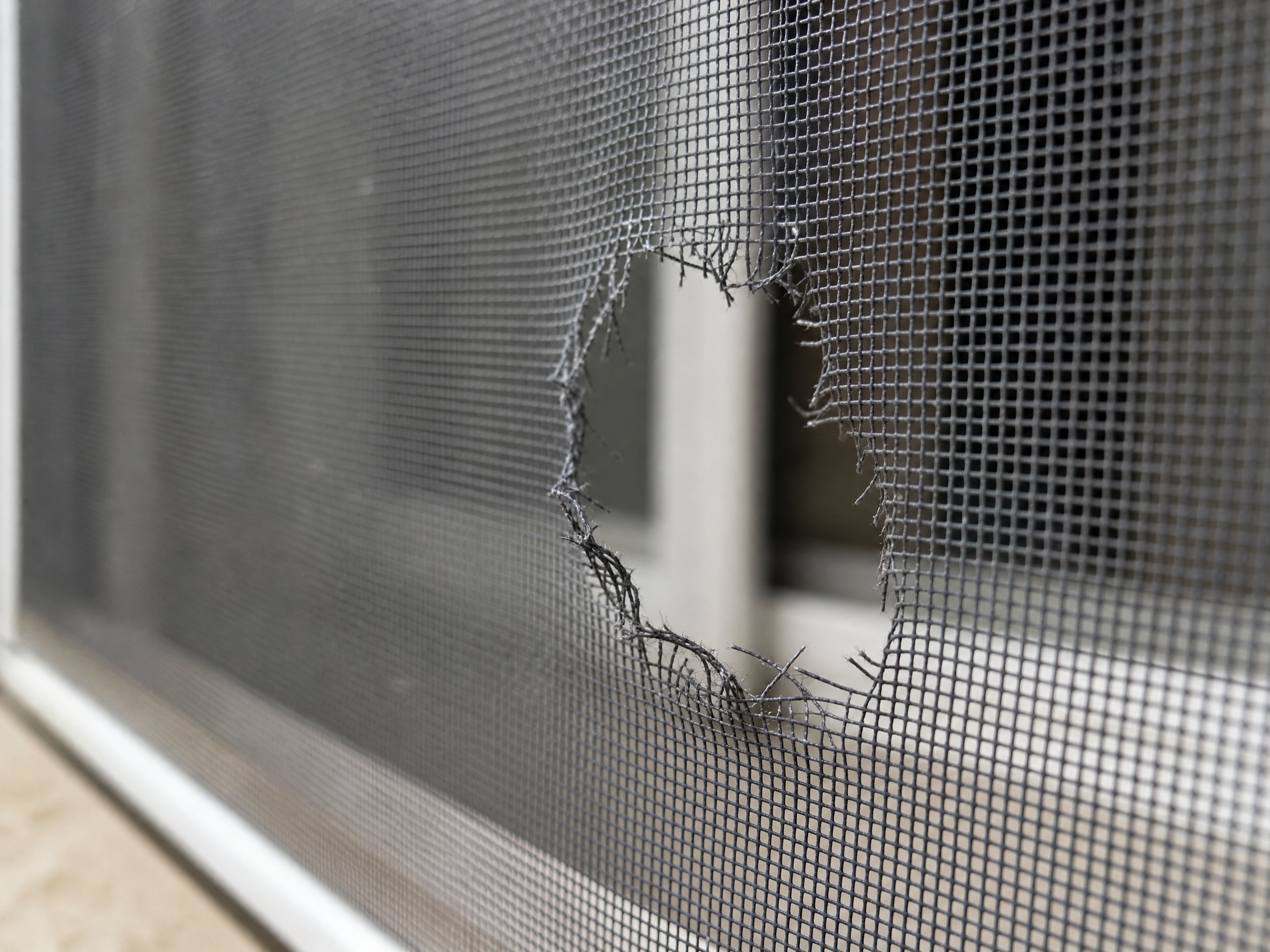 Repairing Holes in Window Screens: Your Essential Guide to Fixing Them