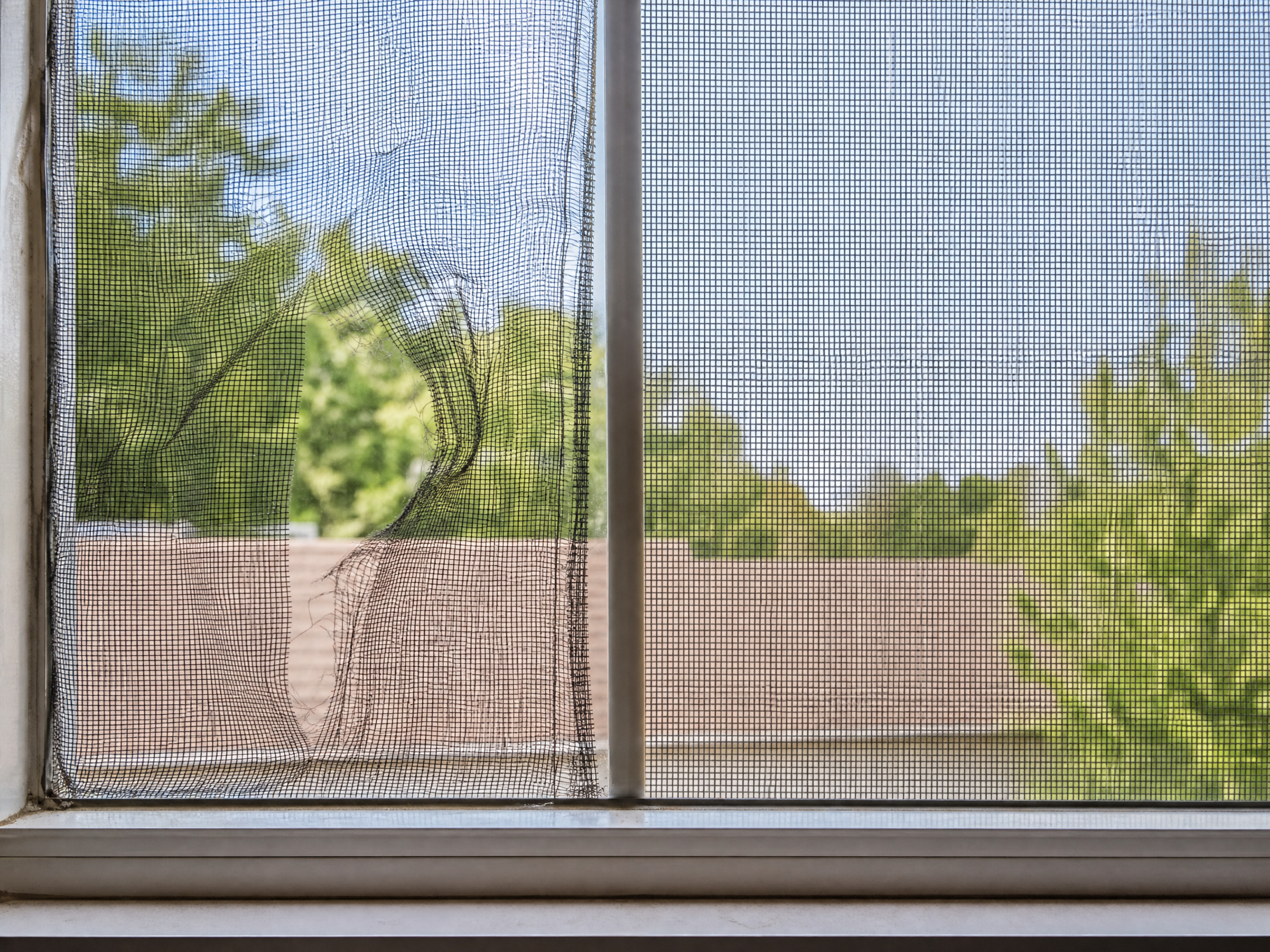 Screen Repair vs. Replacement: Making the Right Choice