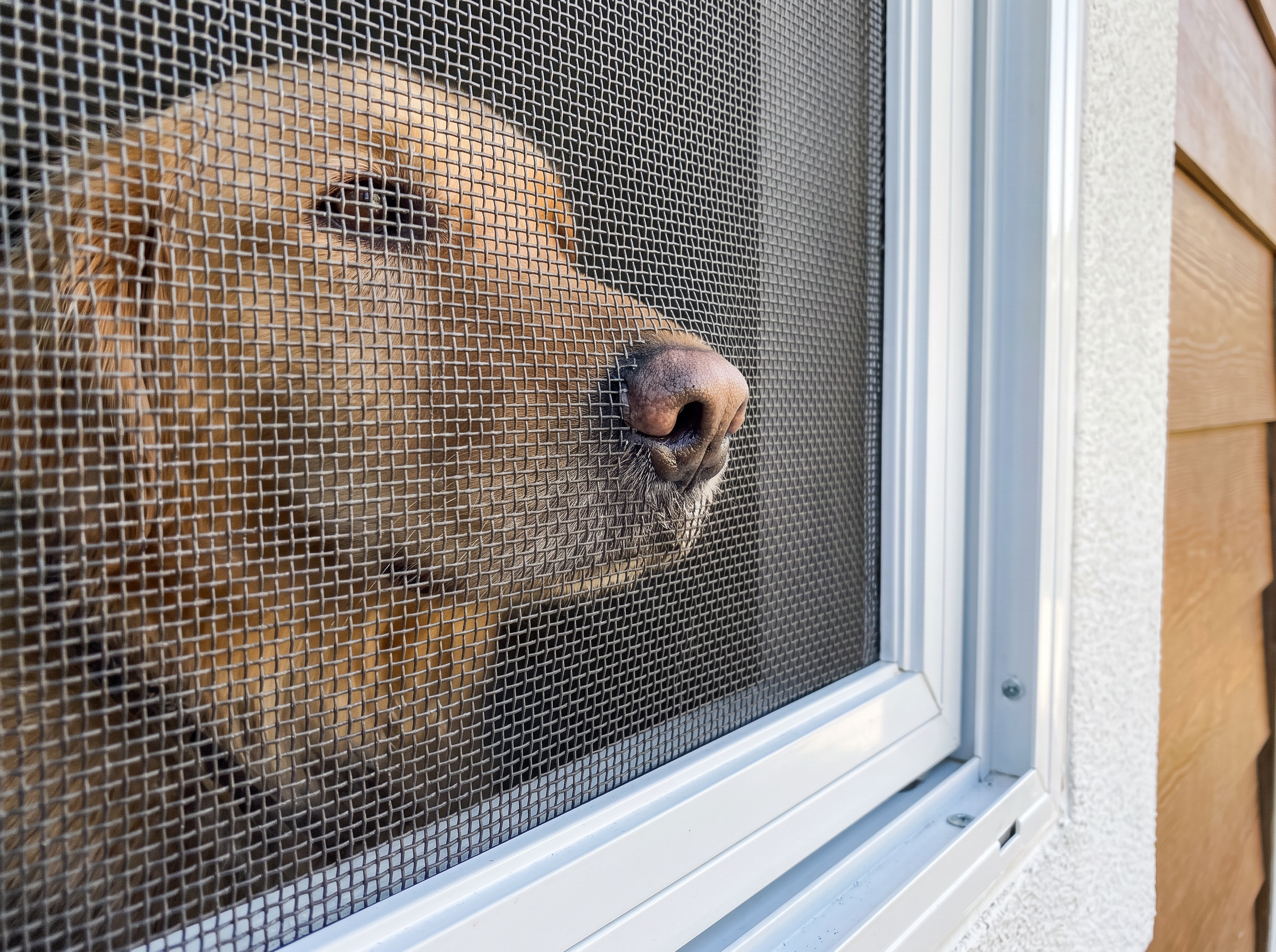Pet Screens & Specialty Mesh. example