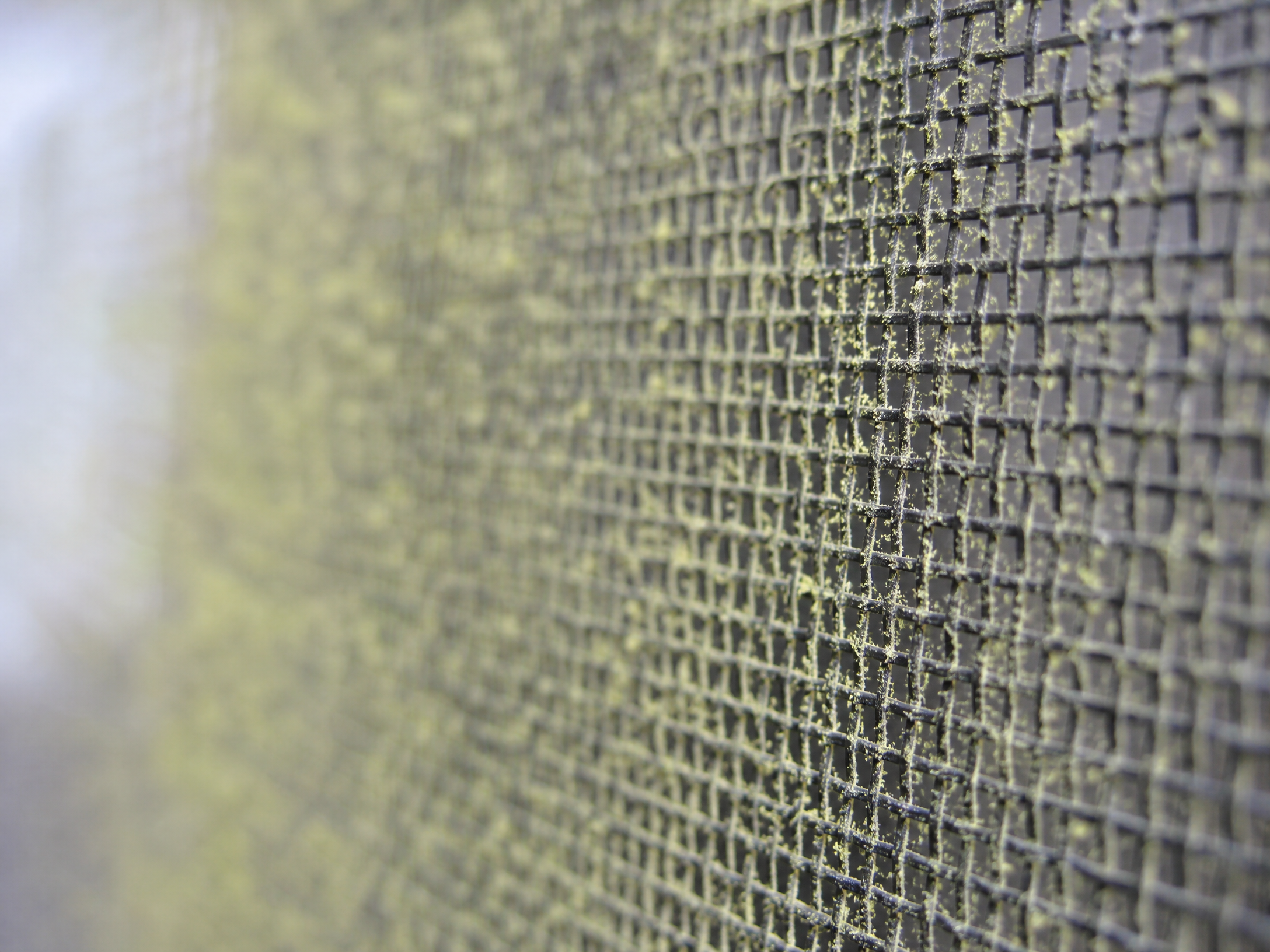 Pollen-Resistant Screens for Spring: What You Need to Know