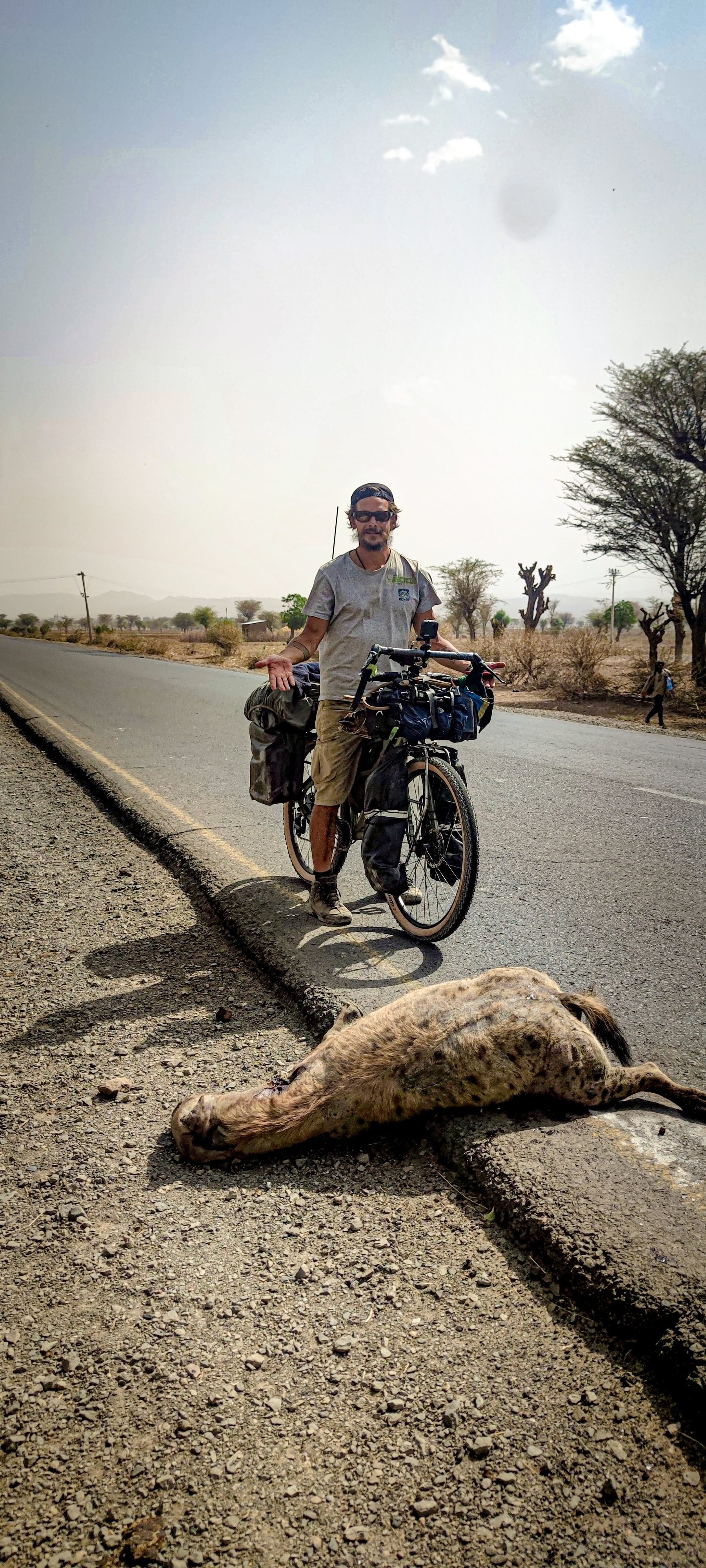A hyena on the road in Ethiopia