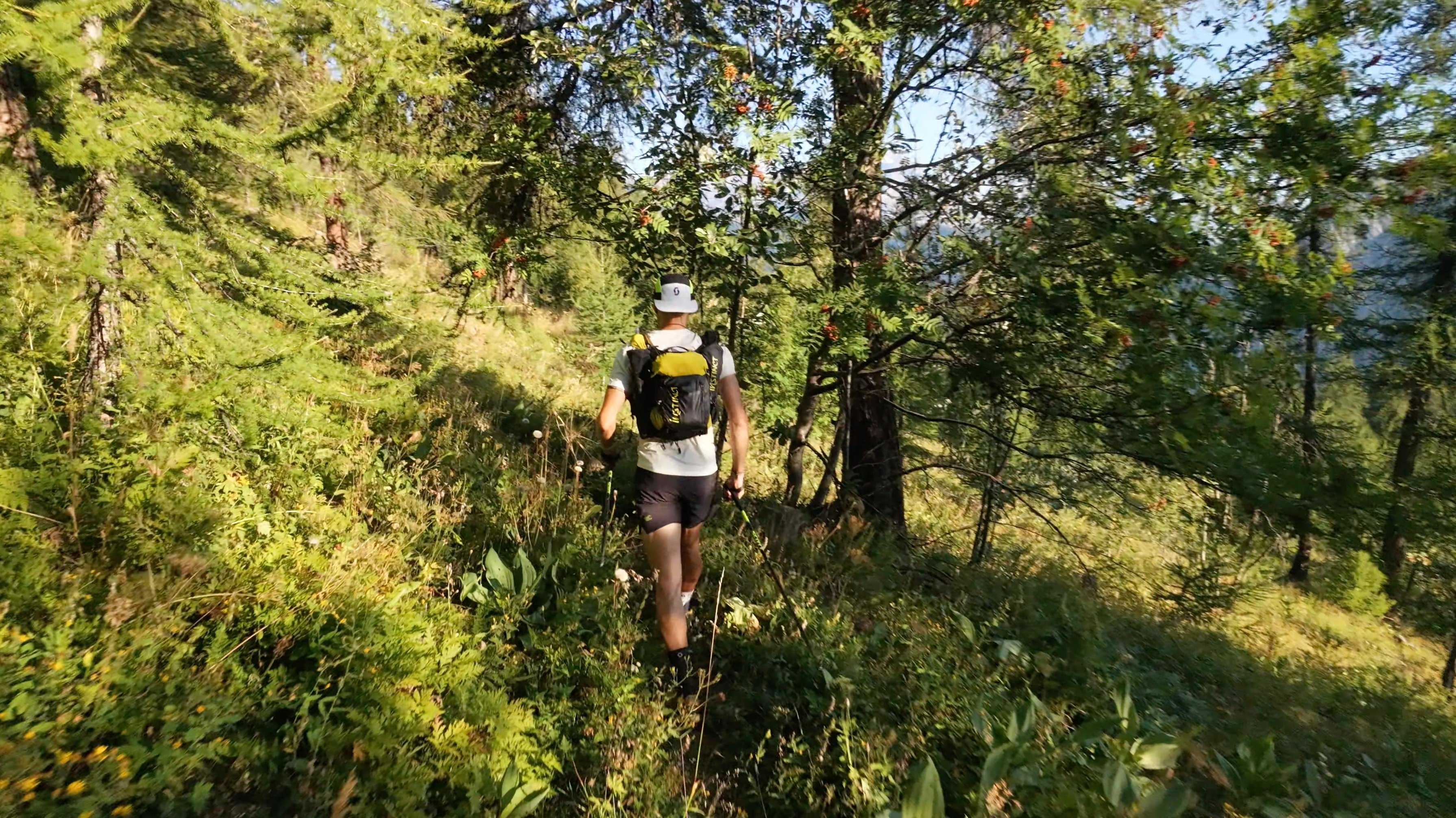 A runner seen from behind on a forest trail in dappled sunlight, carrying trekking poles.