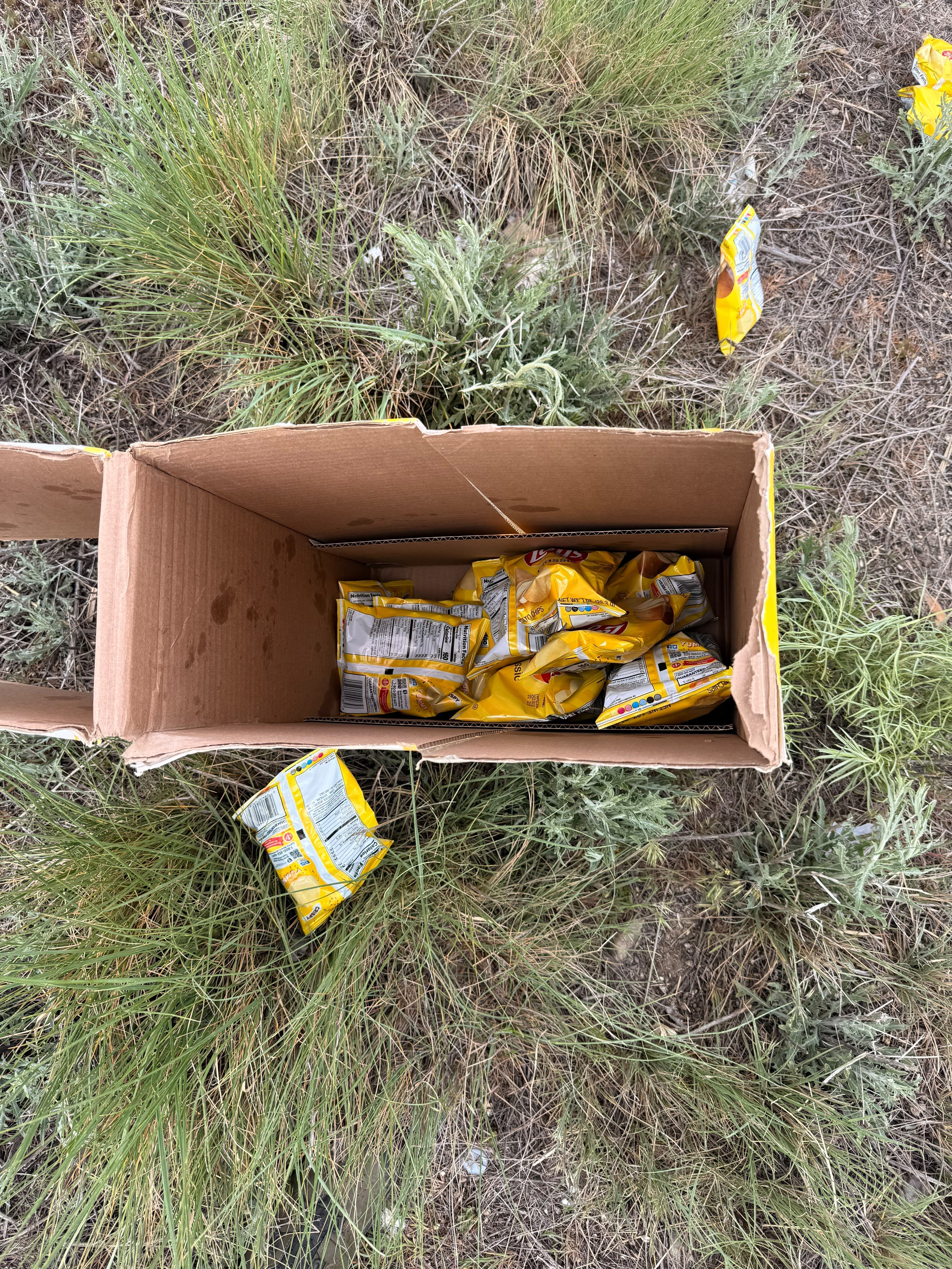 An open cardboard box of Lay's crisps in the grass